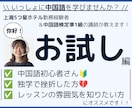 お試し編）中国語の個別レッスンをいたします 上海５つ星ホテル勤務経験者が中国語の基本から教えます！ イメージ1