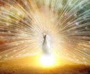 霊視鑑定:鳳凰様の力で、あなたの恋愛を占います 愛と幸せを司る鳳凰様のお力で、つらい片想いに終止符を。 イメージ4