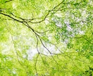 個人事業主限定！あなたのメンタルサポートします １分からOK！経営者の孤独に寄り添い、癒しの時間を提供します イメージ10