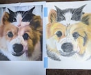 猫の似顔絵描きます 色鉛筆画で写真そっくりに描きます。 イメージ9