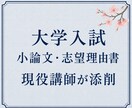 現役講師が大学入試の小論文・志望理由書を添削します 構成・論理・表現を見直し、自分の言葉で書けるよう指導します イメージ1