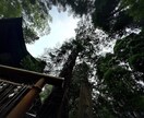 上級古神道・ナオル秘功を伝授します 高天原のエネルギーを使ったヒーリング技です イメージ2
