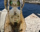 初めての海のルアーフィッシング優しく教えます 海のルアー始めたい！でも何を準備すれば…優しく教えます！ イメージ2