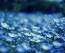 あなたの心を癒します 優しい癒しの時間を、、、.*･ﾟ イメージ1