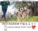 愛犬OK 飲食店募集します Instagram初心者歓迎　✴︎ 愛犬歓迎を伝えよう！ イメージ1