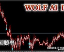 人気サインツールWOLF SYSTEMⅡ提供します 高性能AIが最適なパラメータ設定を提供！バイナリーオプション イメージ6