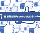 FB/IG広告運用のコンサルをします 間違っているかも？正しいSNS広告運用 イメージ1