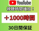 youtubeの視聴時間増加させます 収益化への一歩をお助けします！ イメージ1