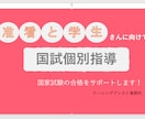 看護師国家試験の指導をします 国試合格に向けてオンライン個別指導をします イメージ1