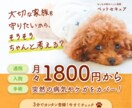 ポチらせ！クリックにつながるWEB画像制作します バナー・ヘッダー・サムネイルをお探しの方必見！ イメージ6