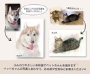 ふんわりやさしい水彩画でペットの似顔絵を描きます ｜インテリアやプレゼントに ｜犬・猫・小動物や鳥さんもOK♪ イメージ2