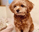 愚痴や、悩み事ありませんか。聴きます 人には言えないけど、聞いてほしい事ありませんか？ イメージ1