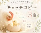 やさしく伝わるキャッチコピーを作成します 想いをやさしく届く言葉に整えます。 イメージ2