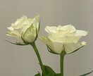 5分だけでも☺️動画を見れば一発で雰囲気わかります 話し相手⭐️雑談⭐️恋愛電話相談⭐️寂しい⭐️癒し⭐️愚痴 イメージ11