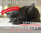 ペット囚われた感情★ワンコイン★でやさしく整えます ペットの心を癒します❤︎ネルソン博士のエモーションコード イメージ1