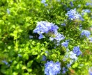私なんかモヤモヤしてる…という方！話相手になります 今の気持ちを聞いてほしい！/ホントはちょっと変わりたいかも イメージ6