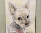ワンちゃんの似顔絵を透明水彩画で描きます お部屋のインテリアにもなるお洒落な似顔絵 イメージ5