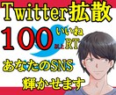 Twitter拡散：100RT以上に拡散します サービス一新★新オプションでさらに便利に(´▽｀) イメージ1