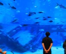 あなたのデート、成功させます 予算、場所、性格などを考慮し、完璧なデートをプランニング！ イメージ8