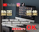 CM用動画・SNS動画編集を丸投げで制作します 【初めて動画投稿したい方必見】ジャンル問わず動画編集承ります イメージ1