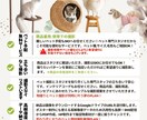 あらゆるペット用品の撮影を承ります ペット手配無料、カメラマン確保も全てついた夢のPLANです イメージ6