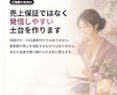 スピ系セラピスト専用AI発信アシスタントを作ります 投稿・募集文・商品説明をあなたの世界観で作りやすくします イメージ9