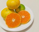 ダイエットをのお手伝いをします 一つの悩みから複数のアプローチができます! イメージ2