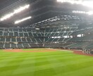 野球場で撮影した写真を販売します 趣味で撮った写真(甲子園やエスコンでの)を提供します イメージ10