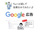 少額から!Google広告のスタートお手伝いします 安心!初期費用のみ他には費用は掛かりません。 イメージ1