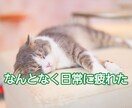 スナック嬢があなたの元気を最大にアゲます くだらない話し等会話を楽しみながら、自然と元気になれちゃう！ イメージ2