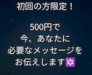500円でお試しできます しらすチャーハンの占いをワンコインで！ イメージ1