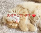 疲れて前に進めなくなった恋愛の悩み相談に乗ります 人に話しにくい迷い込んでしまった恋愛をサポートします イメージ7