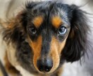 写真撮影、動画撮影します 素人目線のほのぼの系の写真撮影 イメージ4