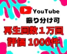 YouTube再生回数と評価が増えるまで宣伝します 法人向け★再生1万回と評価1000件増加で収益化を加速！ イメージ1
