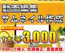 動画編集・サムネイル作成承ります 動画編集にお困りの方、相談してみませんか？ イメージ1