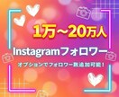 インスタグラムのフォロワー1万人増やします 最安値でインスタグラムのフォロワー1万人増やします イメージ1