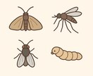 元農家がお家・畑などの「虫」解説します 画像を見て虫の種類、危険度、対処法を考えます！ イメージ2