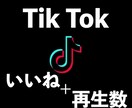 tokougyou8777さん専用になります tokougyou8777さん専用です。 イメージ1