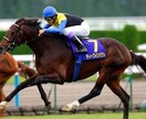 競馬ファン必見！軸馬・穴馬教えちゃいます どんなレースでも任せて！是非参考にしてみてください！ イメージ3