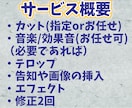 vtuberさん必見！ショート動画編集いたします あなたの魅力を届けます！実績公開可で1500円値引き！ イメージ2