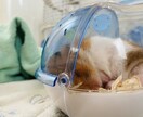 写真を映えるようによりよく加工します 時間がない！早くSNSに投稿したいあなたに！写真加工お任せ！ イメージ5
