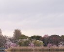 タロットカードで、あなたの人生を再構築します 見失った夢、見捨てた希望、それでも人生は再生できる！ イメージ5