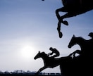1ヶ月分の【中央競馬の買い目・高配当予想】します 毎週土日中央競馬の買い目をお届けします！！ イメージ3