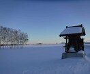 用途不問の背景画像提供します 背景に使えそうな写真を提供します イメージ7