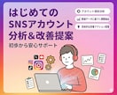 SNSアカウント分析＆改善提案を行います Instagram・TikTok・YouTubeを分析 イメージ1