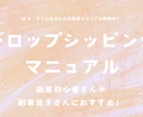 ドロップシッピングのマニュアルをお送りします 副業初心者さんや副業迷子さんにオススメ！ イメージ1