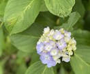 動画編集に困ってる方におすすめします 合成加工など得意としてます編集や色々なアイデアを提供します イメージ2