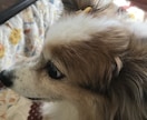 1分からでもOK！貴方からのお電話待ってます 大学生の僕がなんでもお話し聞きます。 イメージ5