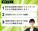 商品PR・広告用のアニメーション動画を作成します 丸投げOK！台本からデザインまですべて対応します！ イメージ2