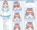 Vtuberデビューを全力サポート致します キャラデザ～Live2Dモデリングまで全工程承ります！ イメージ4